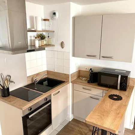 Appartement Le Topette, T2 Au Pied Du Palais Des Congres Et Du Jardin Des Plantes *